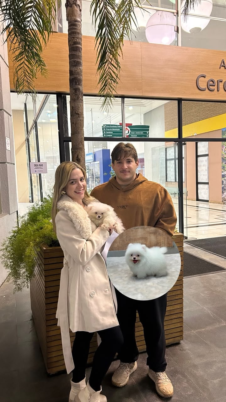 Casal com um filhote de Lulu da Pomerânia branco no colo