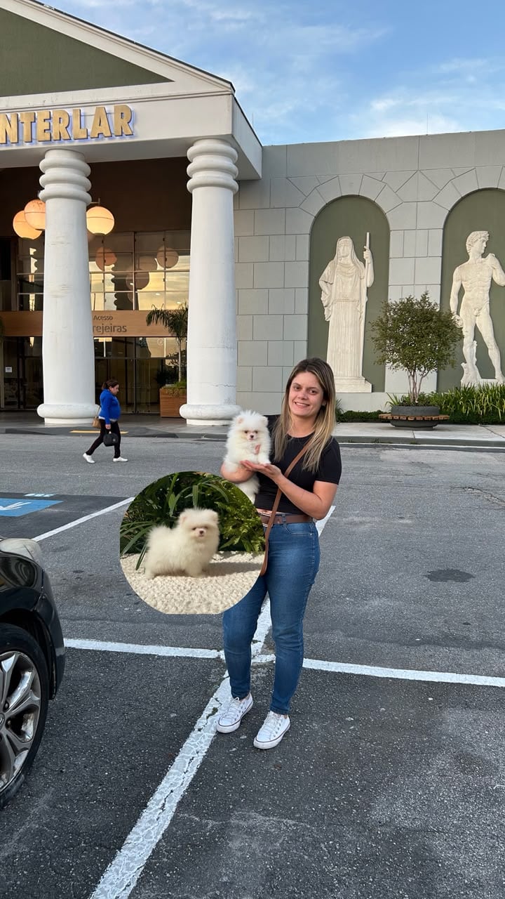 Tutora sorridente segurando um filhote de Lulu da Pomerânia creme